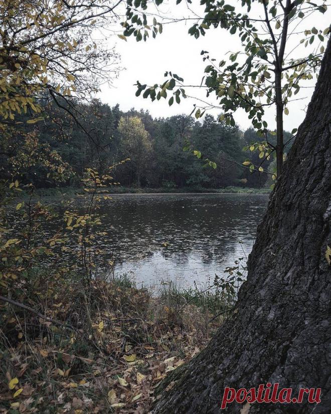 (20) Одноклассники