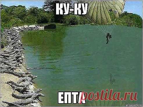 (50) Одноклассники