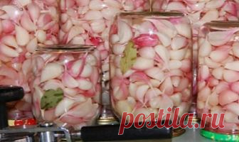Маринованный чеснок холодным способом, вкуснятина 
Приготовленный таким образом чеснок сохраняет большинство полезных свойств!
Маринованный-чеснок-холодным-способом
 
Ингредиенты

Чеснок — 1 кг
Вода — 600 мл
Сахар — 4 ст. л.

Черный перец горошком — …