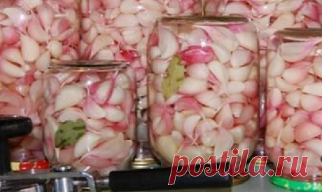 Маринованный чеснок холодным способом, вкуснятина 
Приготовленный таким образом чеснок сохраняет большинство полезных свойств!
Маринованный-чеснок-холодным-способом
 
Ингредиенты

Чеснок — 1 кг
Вода — 600 мл
Сахар — 4 ст. л.

Черный перец горошком — …