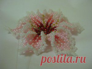 Bead flowers patterns. French beaded flower patterns free | Все о рукоделии: схемы, мастер классы, идеи на сайте labhousehold.com