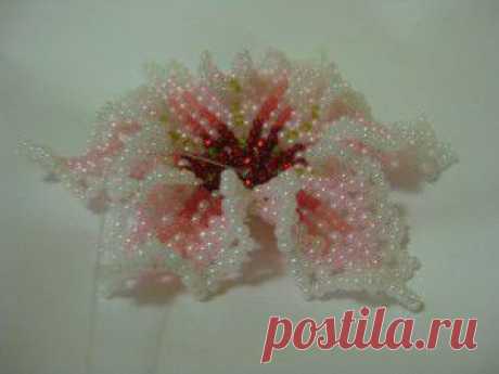 Bead flowers patterns. French beaded flower patterns free | Все о рукоделии: схемы, мастер классы, идеи на сайте labhousehold.com