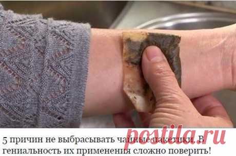 5 причин не выбрасывать чайные пакетики. В гениальность их применения сложно поверить!