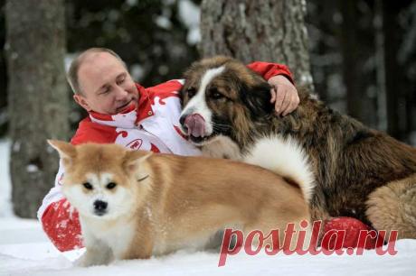 8 секретов здоровья Владимира Путина