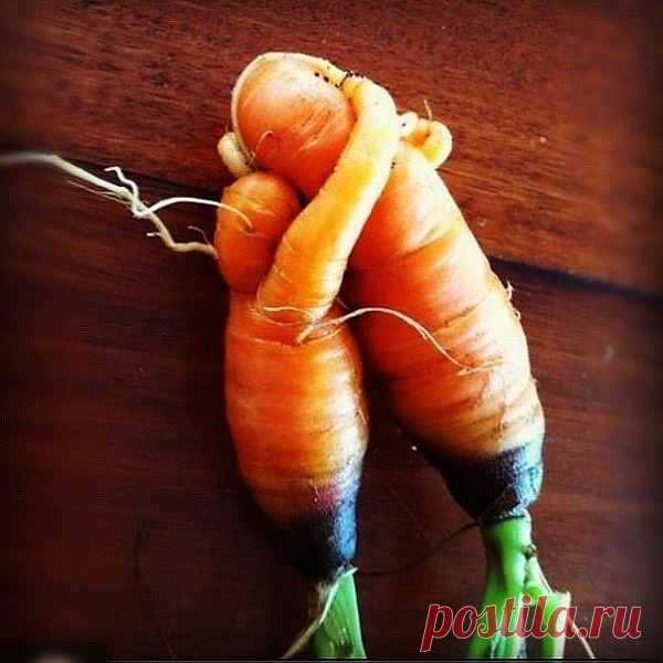 ПРИРОДА !!!