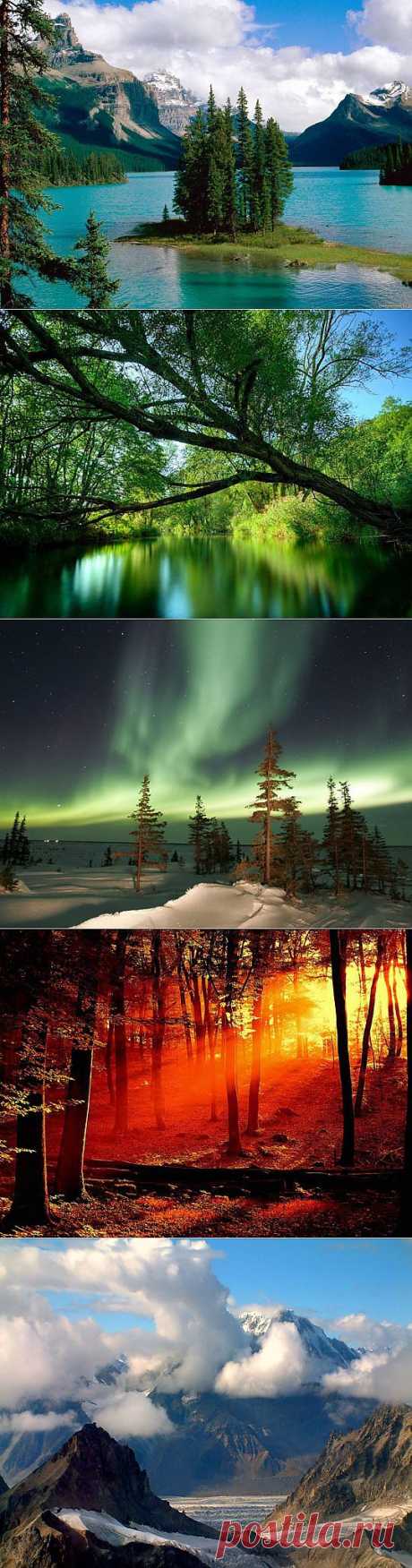 Красивая живая природа картинки (52 фото) видео