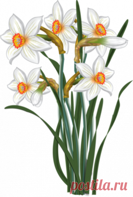 0_13a0d3_799a05e1_orig.png