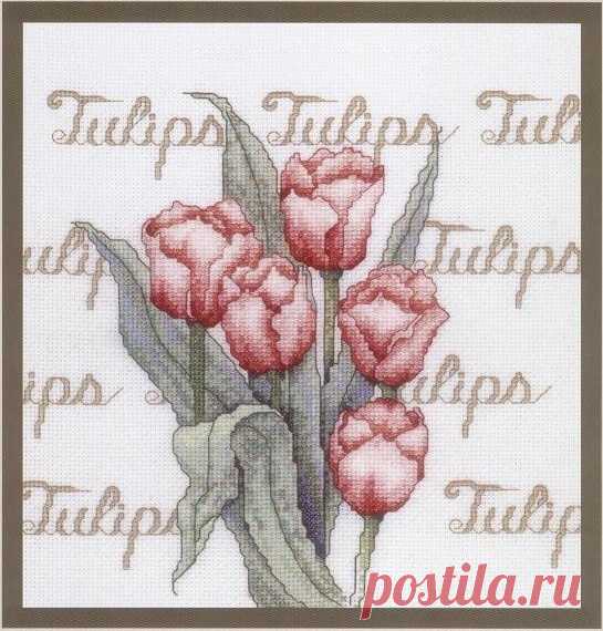 Gallery.ru / Фото #1 - Tulipa - denise10