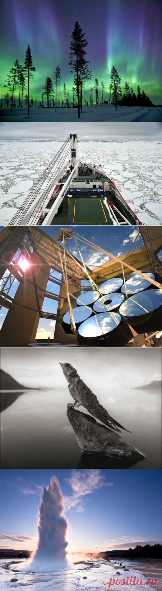 Самые удивительные научные фотографии 2013 года / Всё самое лучшее из интернета