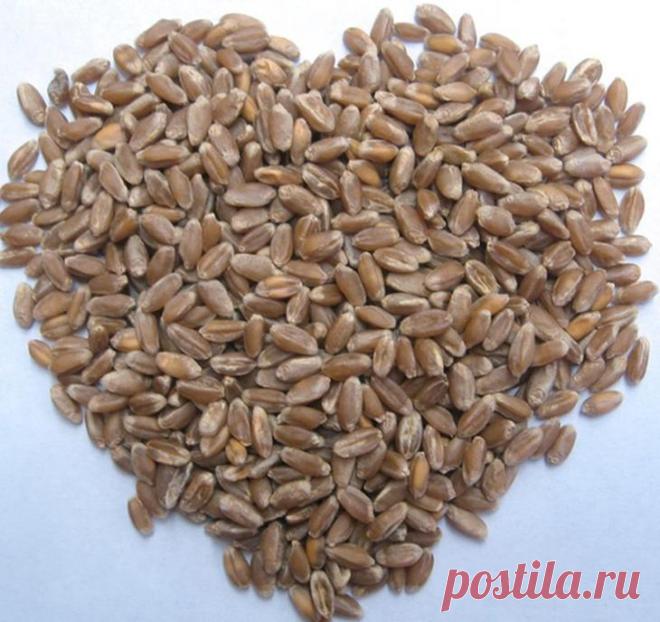 Полезные злаки, о которых вы еще не слышали