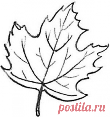 Трафарет Кленовый лист | БАТИК и Я