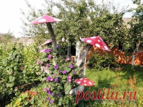 Чудо-пенечки