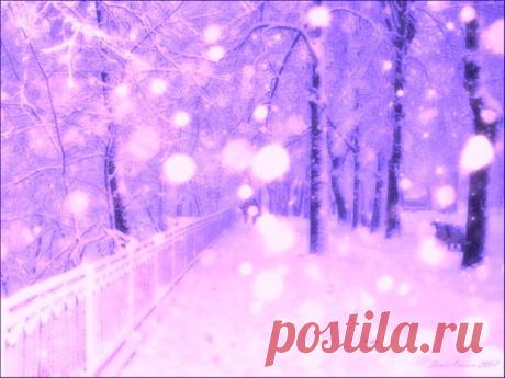Лавандовый снег... | ДОСТОЙНАЯ ЖИЗНЬ НА ПЕНСИИ