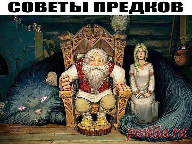 (3) Одноклассники