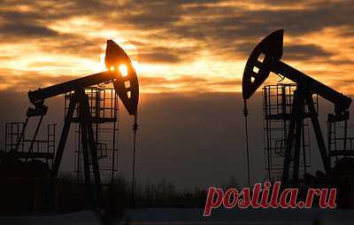 Petroneft объявила о ликвидации. Ирландская нефтекомпания владела активами в Томской области