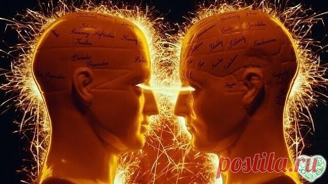 Сохрани - не потеряешь 
Что нельзя иметь в доме.
 
1. Старые изношенные тапочки не следует хранить в доме - они притягивают негативную энергетику. Если тапочки порвались, их нужно удалить из квартиры.
 
2. Также не следует хранить в доме порванную, негодную одежду. Всегда оценивайте старую обувь и одежду по принципу: будете ли вы ее еще носить. Если не будете - выбрасывайте.
 
3. Посуда с трещинами, сколами, дефектами, полученными в процессе эксплуатации, нарушает энергети...