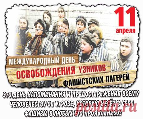 Дорогие ветераны и бывшие узники! Примите самые искренние поздравления в этот памятный день. Ваш жизненный подвиг — пример стойкости и силы духа. Открытки на День освобождения узников фашистских концлагерей!