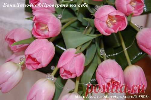 гадание - Самое интересное в блогах