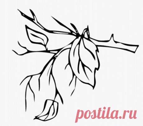 НАСТРОЙ ДНЯ. Я сложу из листьев... | Хвастунишка