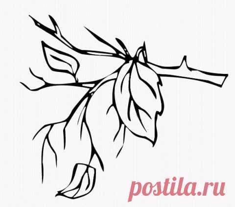 НАСТРОЙ ДНЯ. Я сложу из листьев... | Хвастунишка