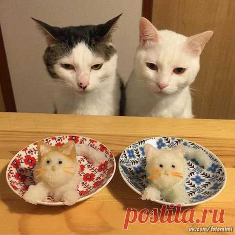 С ДОБРЫМ УТРОМ!