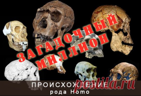 Загадочный миллион. Истоки рода Homo - Антропогенез.РУ