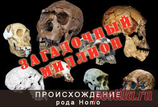 Загадочный миллион. Истоки рода Homo - Антропогенез.РУ