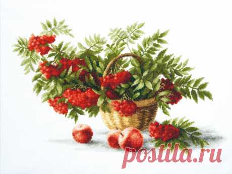 в/к Рябина