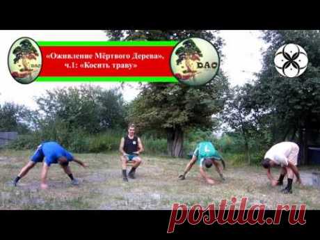 Позвоночник: "Оживление Мёртвого дерева"("Катящийся камень"/2016)
