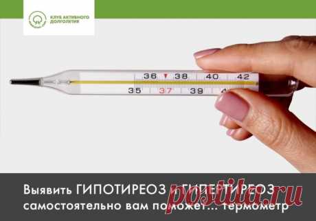 Выявить ГИПОТИРЕОЗ и ГИПЕРТИРЕОЗ самостоятельно вам поможет… термометр

Щитовидная железа играет жизненно важную роль в регулировании обмена веществ и поддержании гомеостаза.

Когда функция органа нарушается, появляется:

 гипотиреоз — когда щитовидная железа вырабатывает недостаточно гормонов
 гипертиреоз — когда щитовидная железа вырабатывает слишком много гормонов

Обе болезни влияют на терморегуляцию.

Гипотиреоз часто сопровождается понижением температуры тела. Симпто...