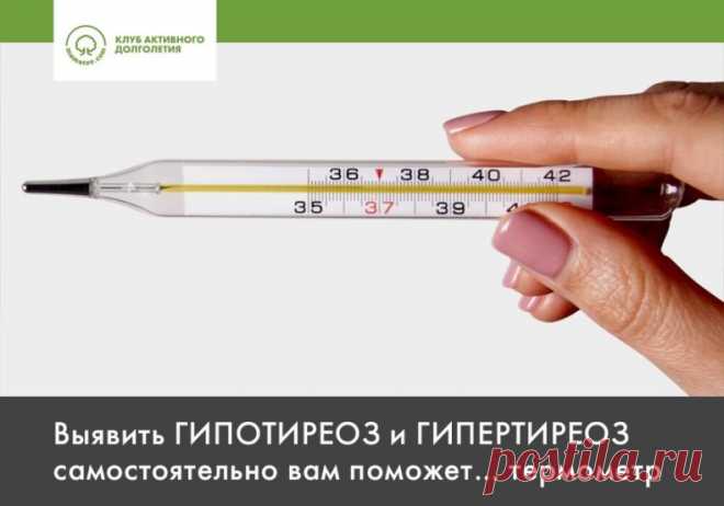 Выявить ГИПОТИРЕОЗ и ГИПЕРТИРЕОЗ самостоятельно вам поможет… термометр

Щитовидная железа играет жизненно важную роль в регулировании обмена веществ и поддержании гомеостаза.

Когда функция органа нарушается, появляется:

 гипотиреоз — когда щитовидная железа вырабатывает недостаточно гормонов
 гипертиреоз — когда щитовидная железа вырабатывает слишком много гормонов

Обе болезни влияют на терморегуляцию.

Гипотиреоз часто сопровождается понижением температуры тела. Симпто...