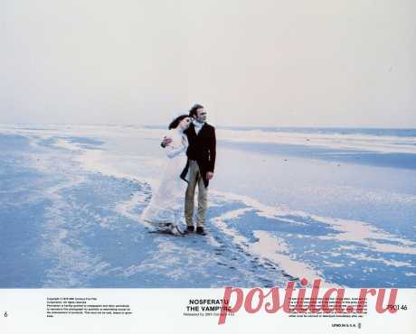 Носферату: Призрак ночи (1979)