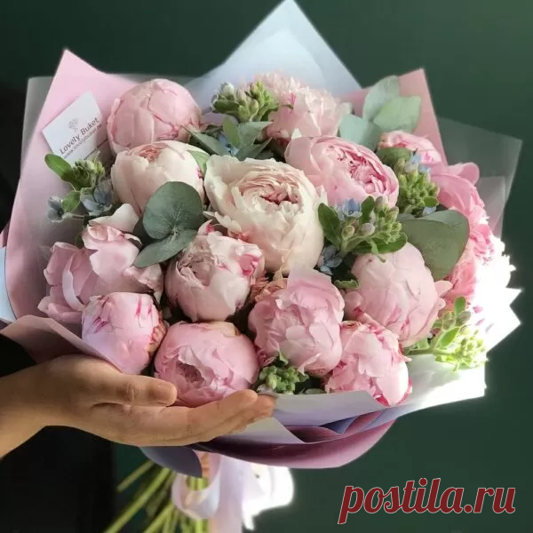 Авторский букет из элитных пионов и цветов оксипеталума 