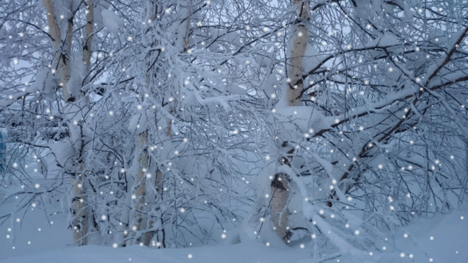 Фото в Google+