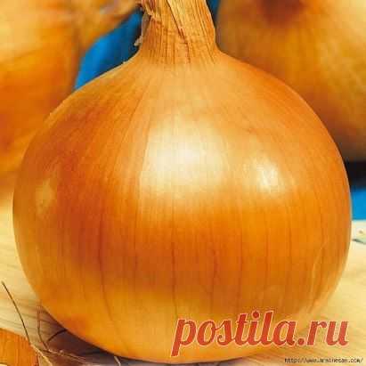 (41) Одноклассники