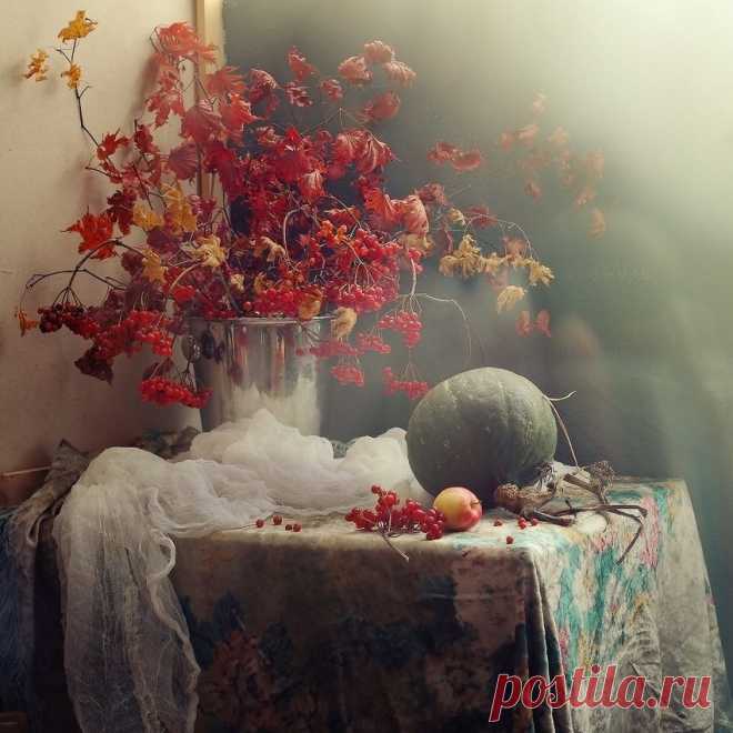 Фотография Тёплый октябрь из раздела натюрморт №5269730 - фото.сайт - Photosight.ru

Nemirovich Anna