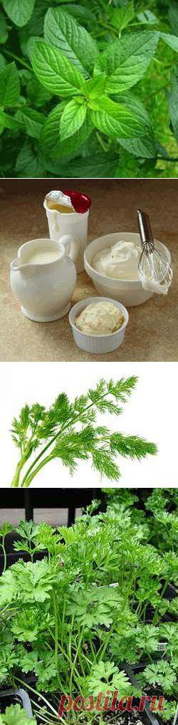 Маски для сухой кожи лица в домашних условиях