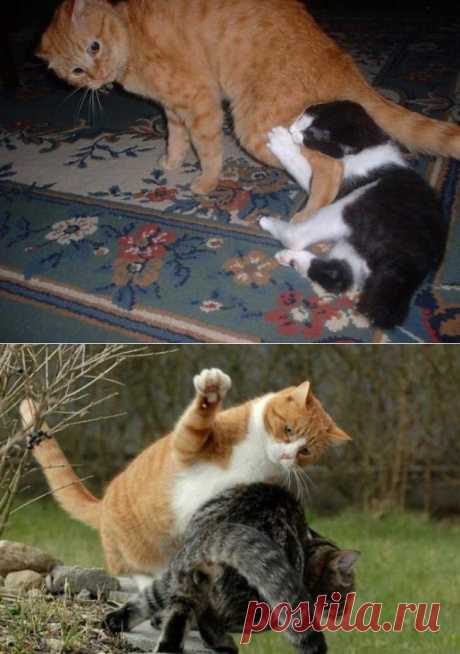 Дикие нравы!