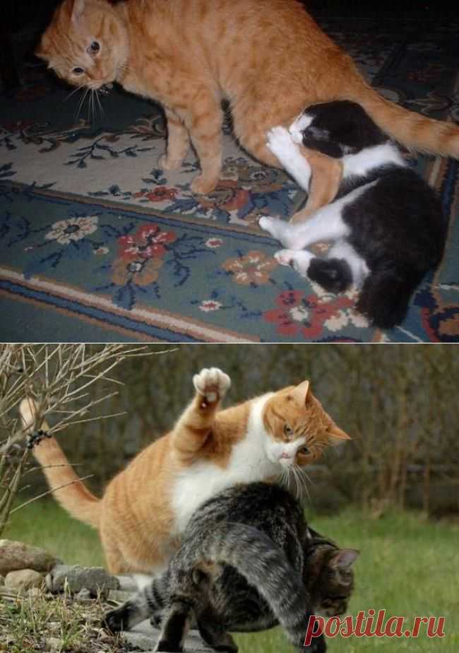 Дикие нравы!