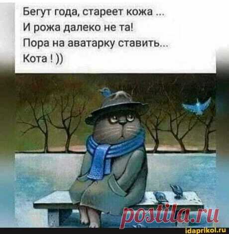 Бегут года, стареет кожа И рожа далеко не та! Пора на аватарку ставить... Кота! – популярные мемы на сайте idaprikol.ru