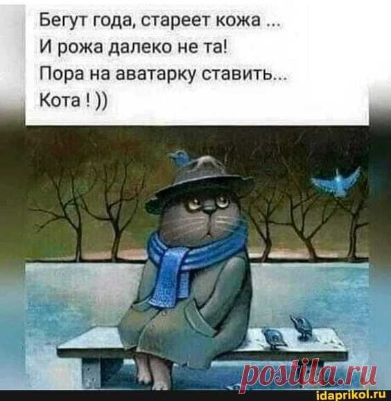 Бегут года, стареет кожа И рожа далеко не та! Пора на аватарку ставить... Кота! – популярные мемы на сайте idaprikol.ru