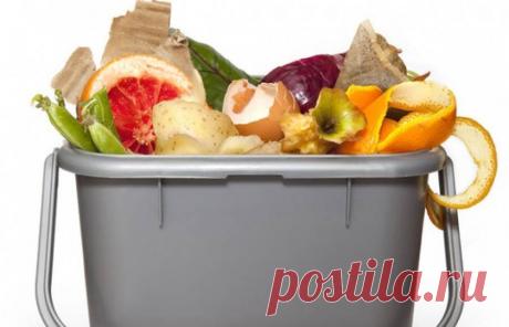 Не спешите выбрасывать или продукты, которые вам еще пригодятся | Женские секреты