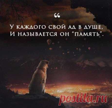 Без комментария