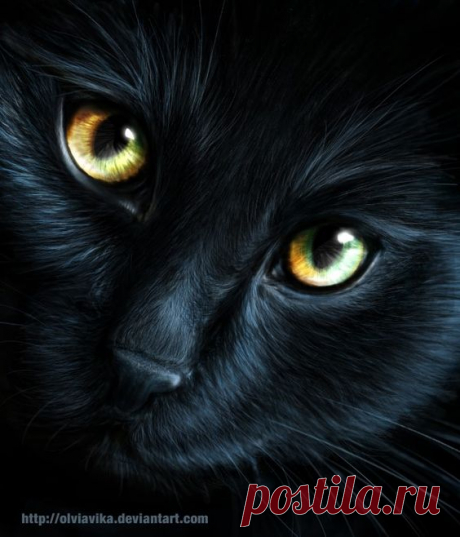 (109) Pinterest