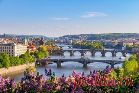 Яндекс Картинки: поиск похожих изображений