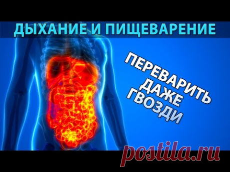 Переварить даже гвозди: Бутейко о питании | Здоровое пищеварение, биохимия и CO2 - YouTube