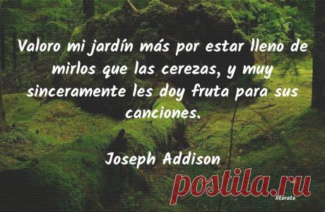 Frases de canciones - Literato