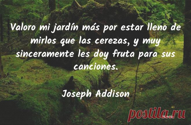 Frases de canciones - Literato