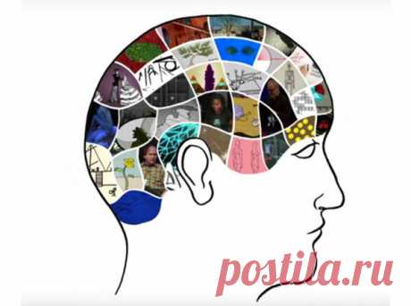 7 YOUTUBE-КАНАЛОВ, КОТОРЫЕ СДЕЛАЮТ УМНЕЕ ВАШИХ ПОДРОСТКОВ | ПРИВЕТ, РОДИТЕЛЬ! | Яндекс Дзен