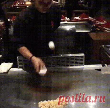 Чёрный кот вас помилует...